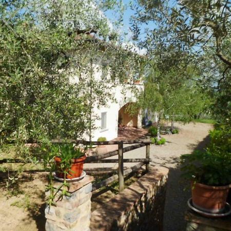 Casa Le Betulle Montespertoli Exterior foto